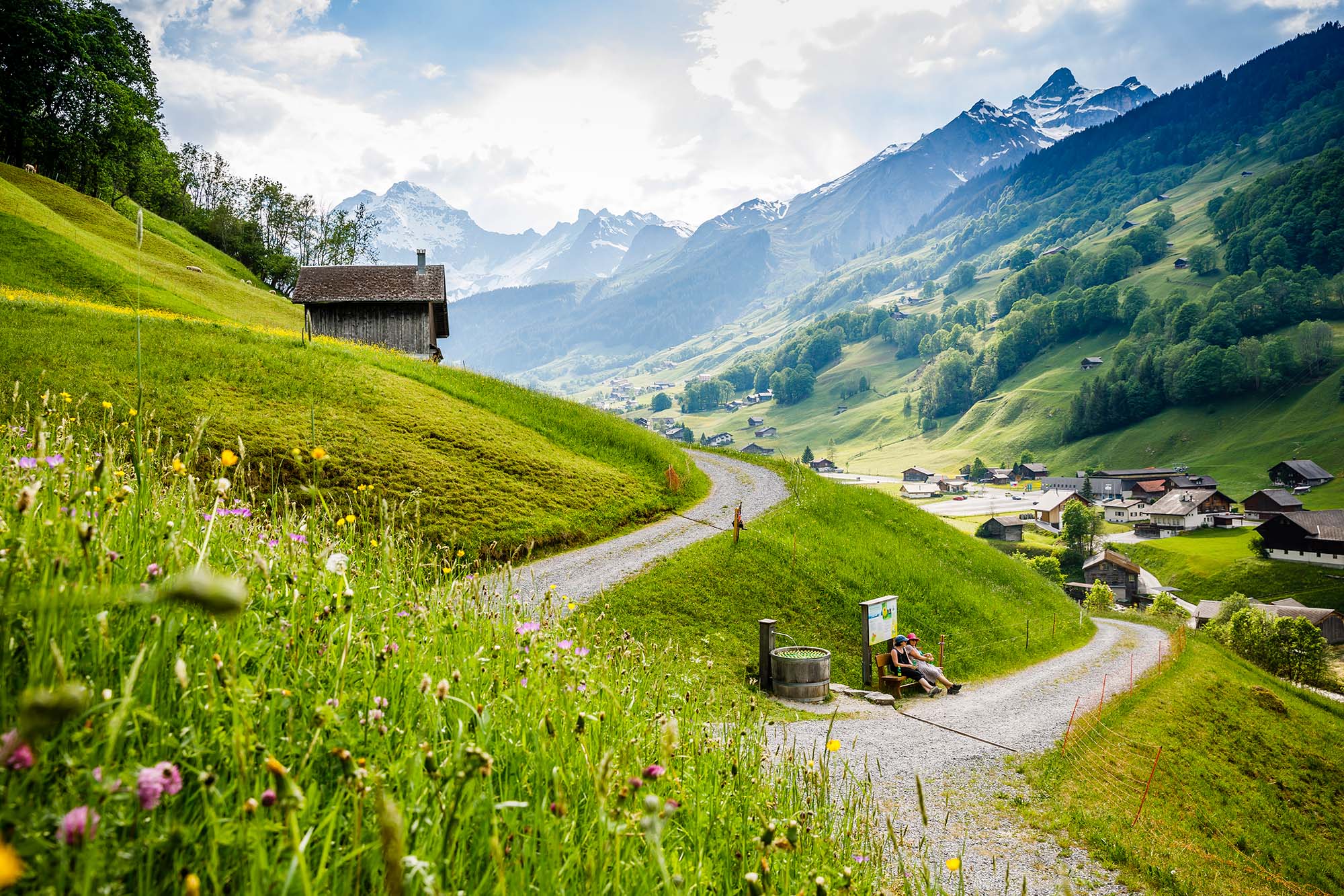 Hike the Elmer Citro Trail: Scenic Views & Free Refreshments
